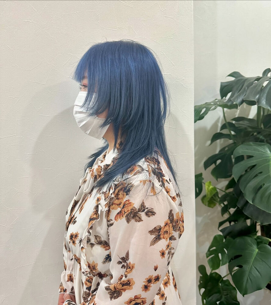 ブログ
